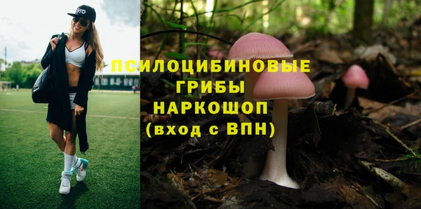 герыч Надым