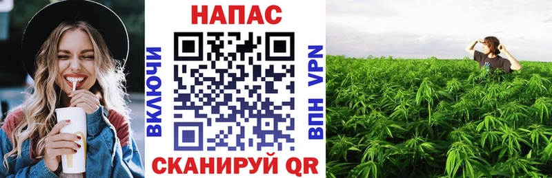 наркота  Таганрог  Бошки марихуана LSD WEED 